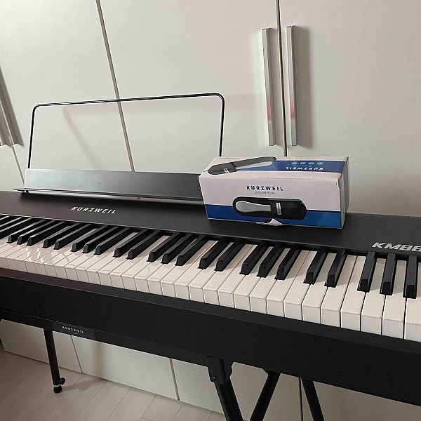 Thuật ngữ bắn cá